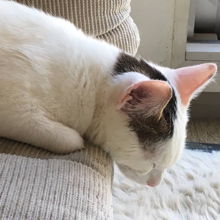 1704acd6 d091 4eea b384 987dd4f2ba0c