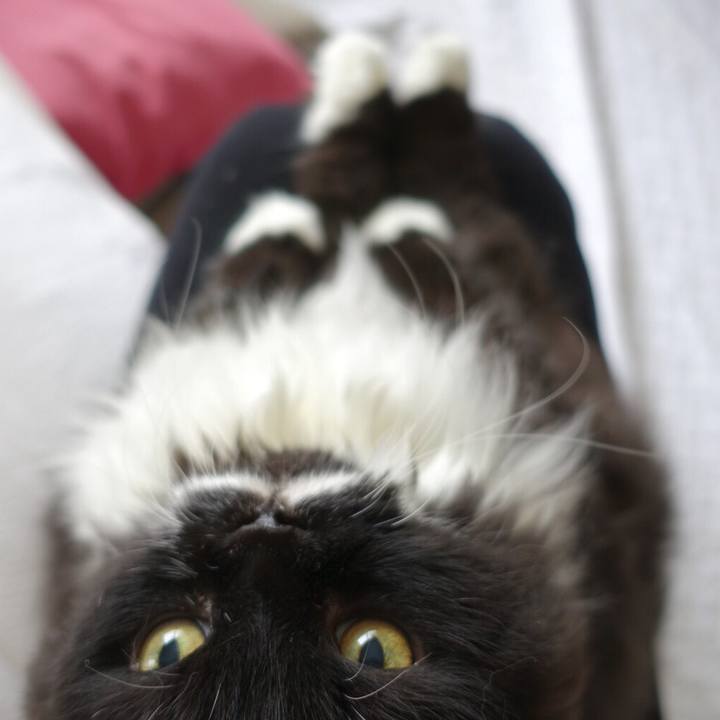 1704b299 38f9 442e 8b38 e9c75c4f6726