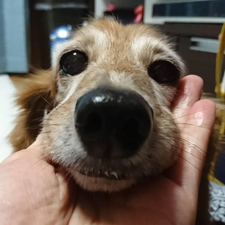 17055c07 f2e7 422f a3c8 3b1fc05b94f5