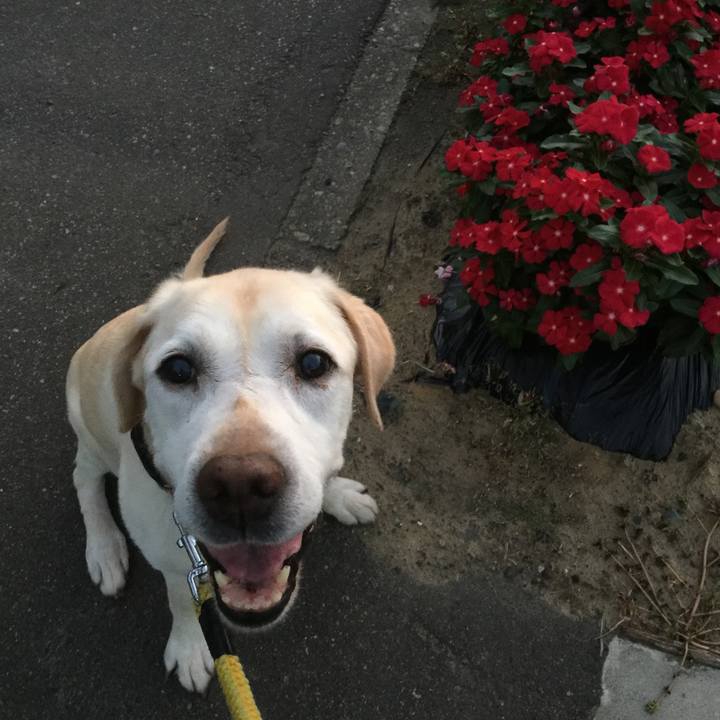 1705954f 151f 4d92 b232 366ac5ac4659