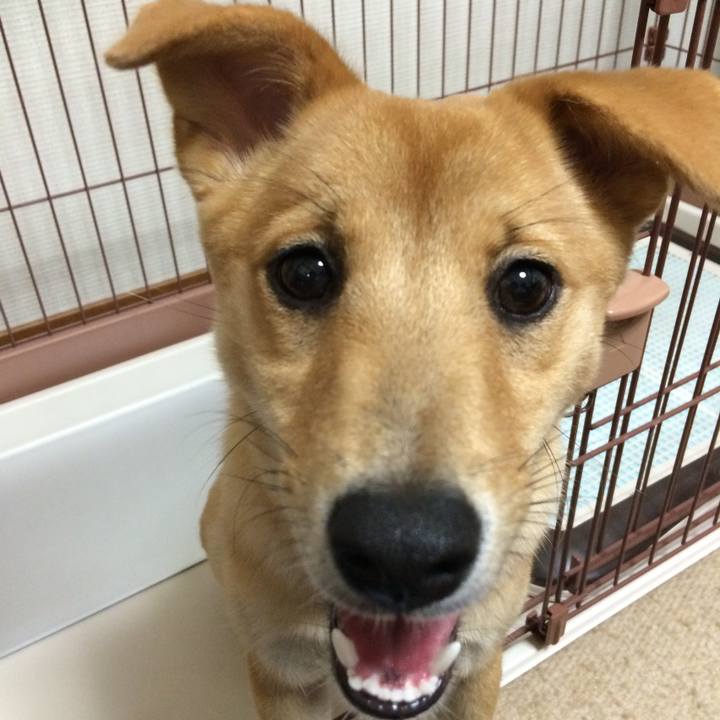 1705fd0a daab 46a4 934d ca7cd8f382e0