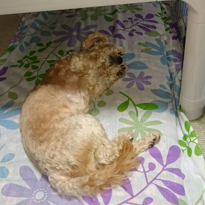 170656e5 a4ed 432f 95da b895e581013e