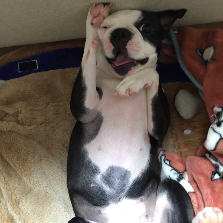 1706777c 2fb0 4804 a099 21cd3252d469