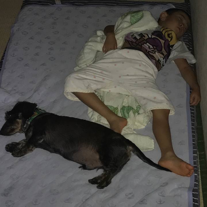 1706f080 7536 49c6 b08e 39bebf290a15