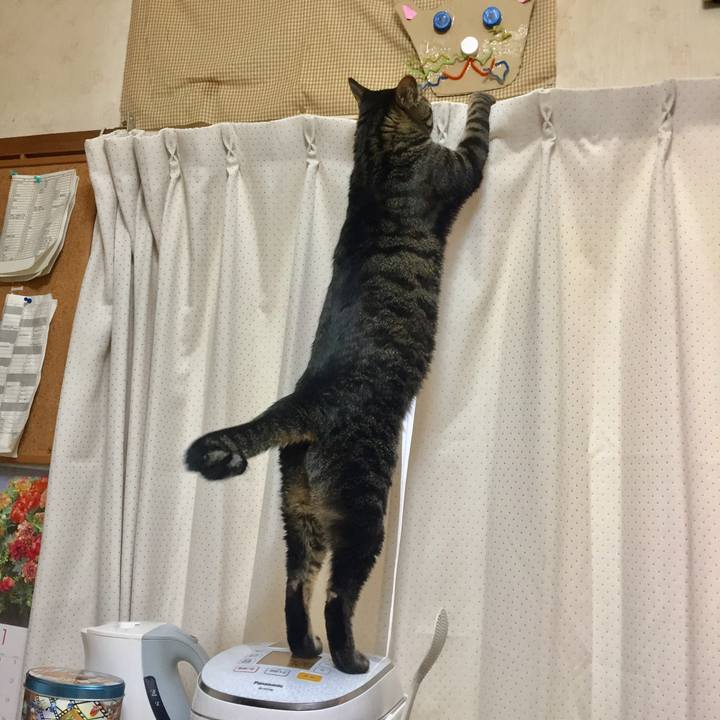 170711d3 5f56 4dcb 9b54 a6fe5d8d3cc0