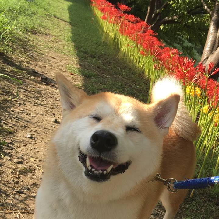 17071e79 8043 4ff9 805e c06042179c53