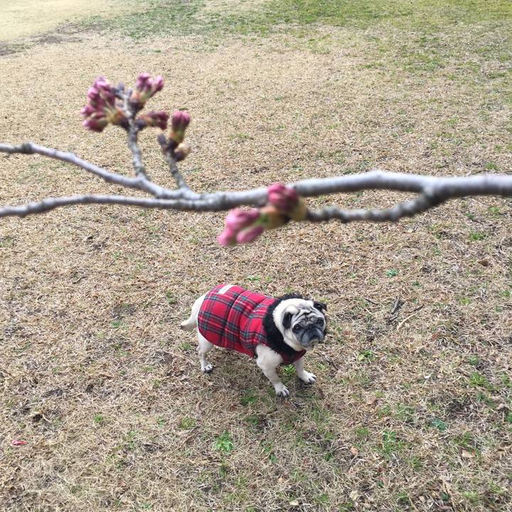 1708067f 72ae 46f5 8b71 5287ad604f9a