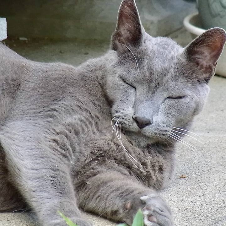 170867ef 3c6c 4d1a a10f e8e362ba00a3