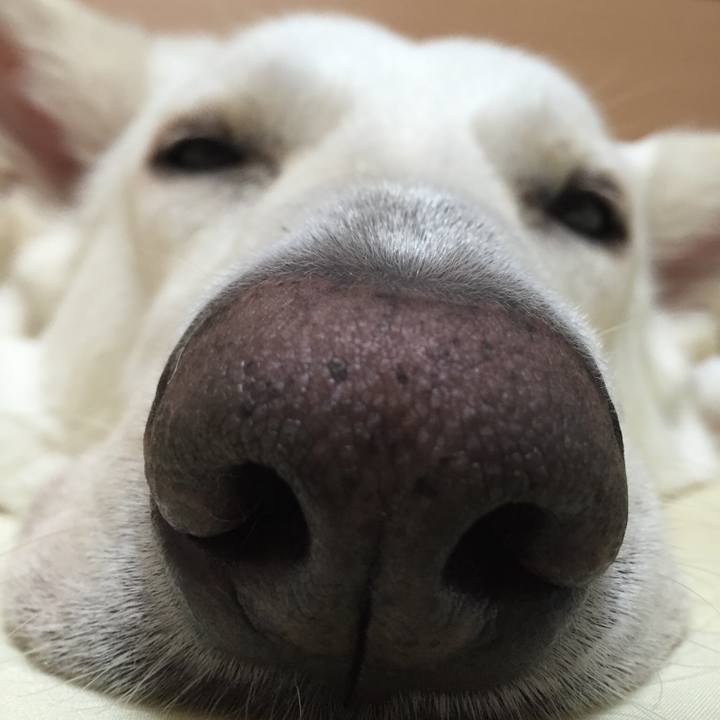 17087941 9bc9 47e0 aa77 816c857a666d