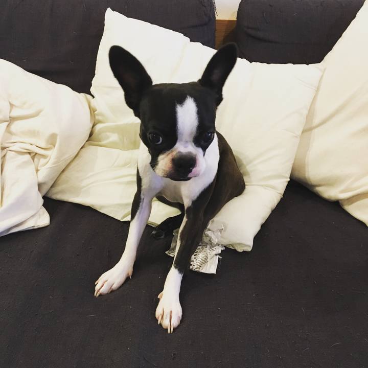 17091f01 fc67 49d6 a6e8 a0bd01a6cfe7