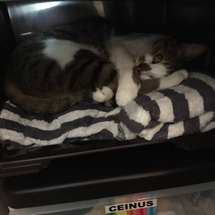 170a0fab 1fda 4385 a573 0441fa25f142