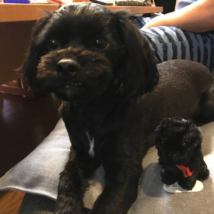 170a813d a34f 4d51 8eaa 34a4ee2d4ff0