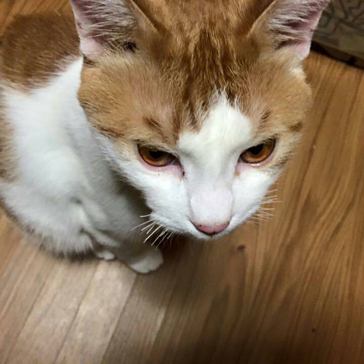 170b32ed e861 4246 a8df d9a902b5c04e