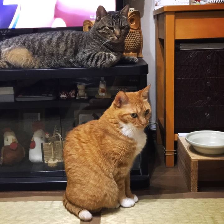 170b81be 0d13 4651 9486 131358cfd15e