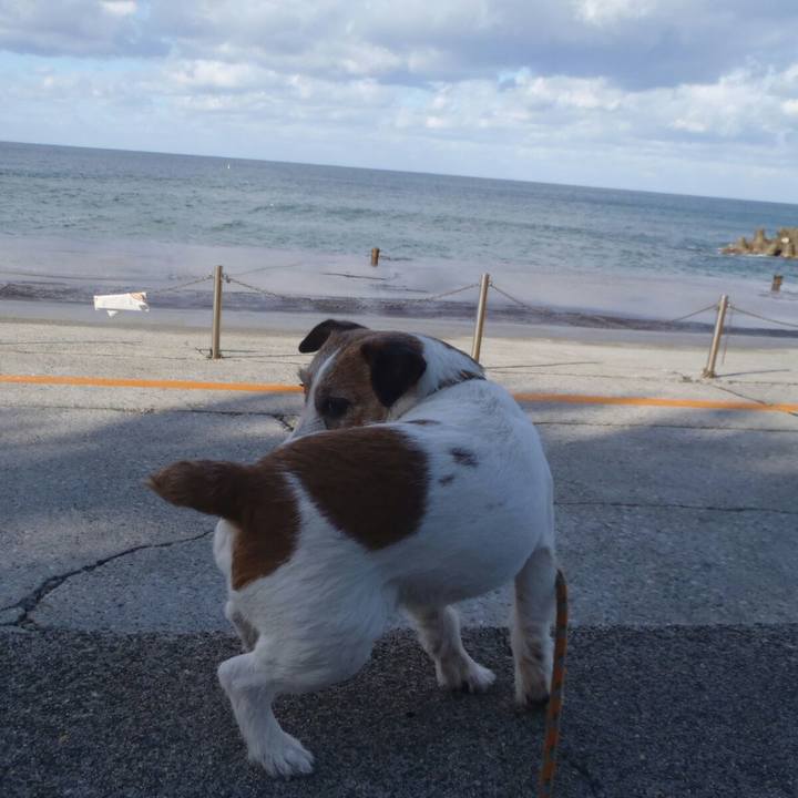 170be860 97a7 4c74 bb05 f01eb9f33e3a