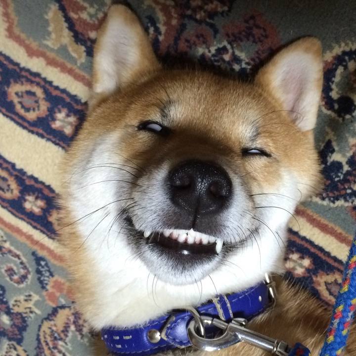 170cda6e 457a 4bbb b187 8eae37546166