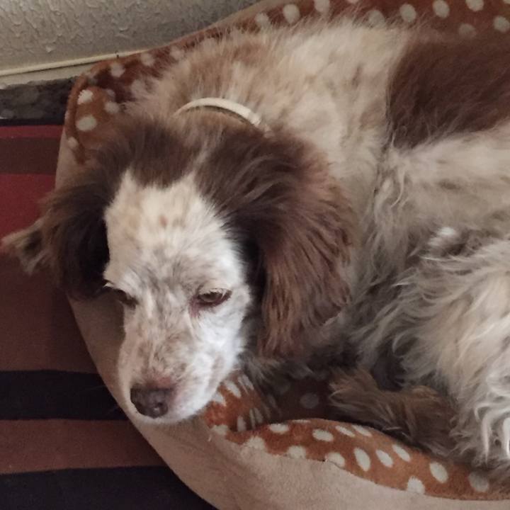 170d3766 0894 4a22 a822 fbe8c553d8d8