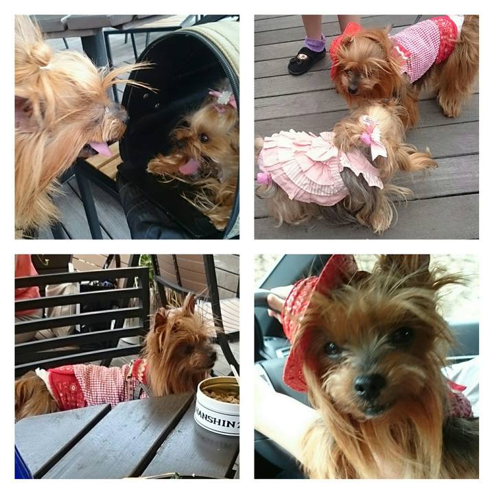 170e6198 90c3 4755 9bff 948efda2cc53