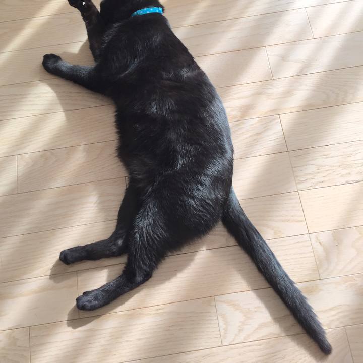 170ebafd 8014 4c2c ae97 e25c379c2ec9