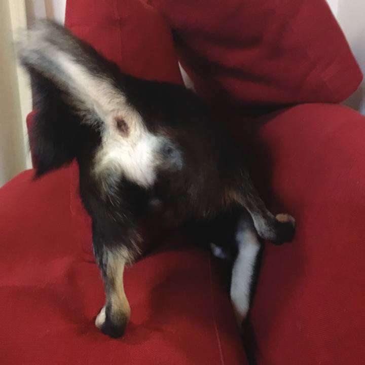 170ee9e2 9cc7 4499 a6f0 1d363ce4160f