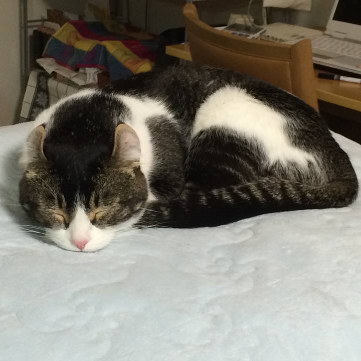 170f0014 317f 43b5 a9d2 2cc8b985c68e