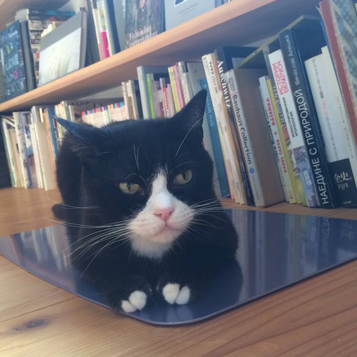 170f1d4d ef44 4872 a6d6 458d5fc71cdd