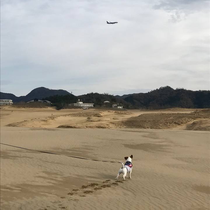 170f581a e122 4417 8c09 923184e7a6da