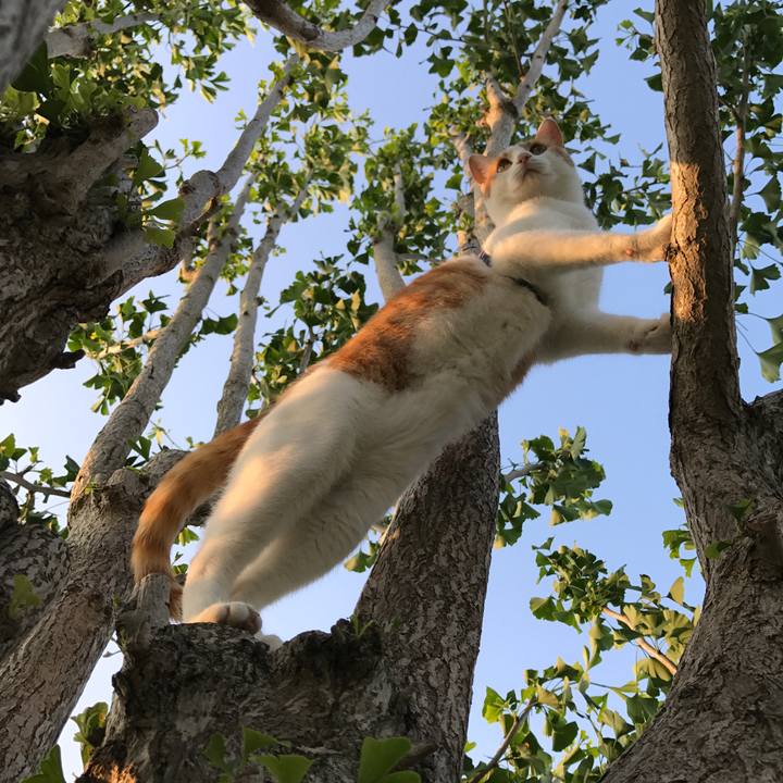 170f5ade fca4 420a 904f 75a7d86f370e