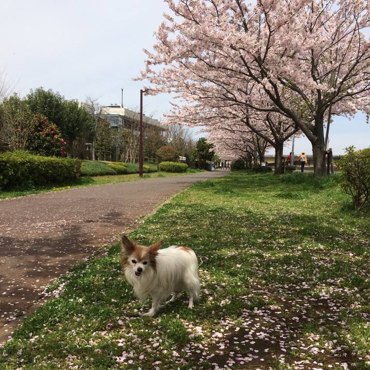 170f6039 c308 4cc5 be2b b6f2df8d2a41