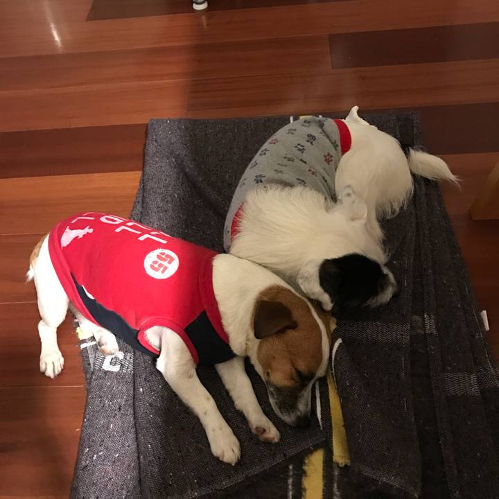 170fba84 8352 4058 95f2 05a6dbf5c2e9