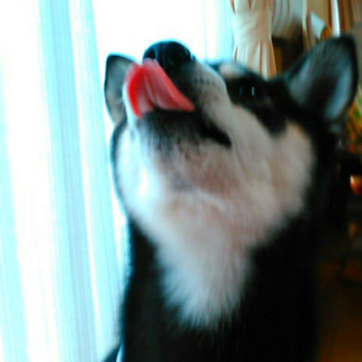 17102367 f7f8 476a 85f2 e096f4e05223