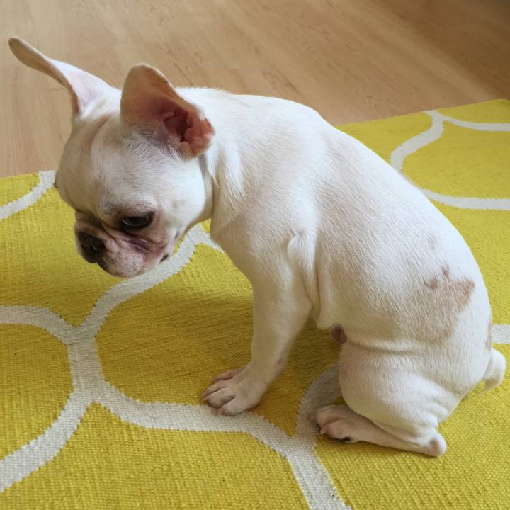 17102b5d 6752 4671 ab3e 25bdb765a661