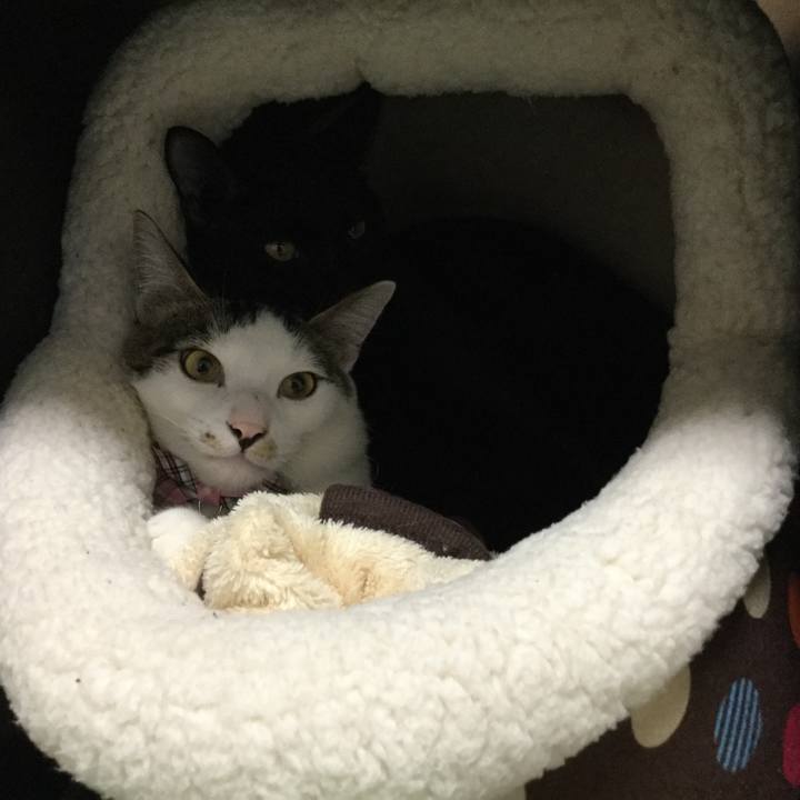 17103d84 04fa 4915 9054 c7ee0d8007e8