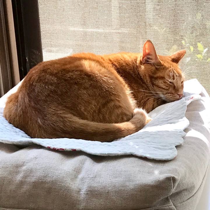 1710e28d bc70 4588 aa77 11ff4a6e0f51