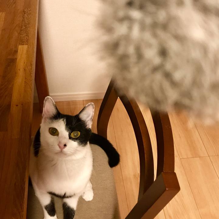 17128604 8506 4301 af82 d91f753289f2