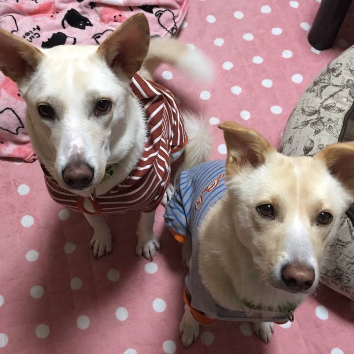 1712bcb2 59bf 46cd a872 b3de1ccbed2a