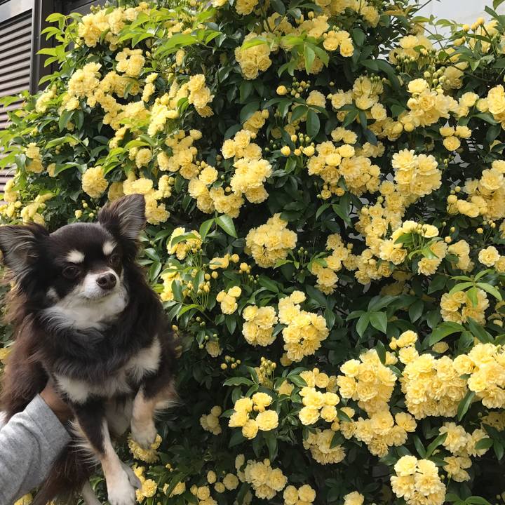 171392ce 41a6 4302 879f 8a06dbf30ec8