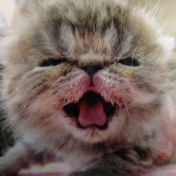 1713b152 4f13 4dba bf08 3fa18fa1ae0a