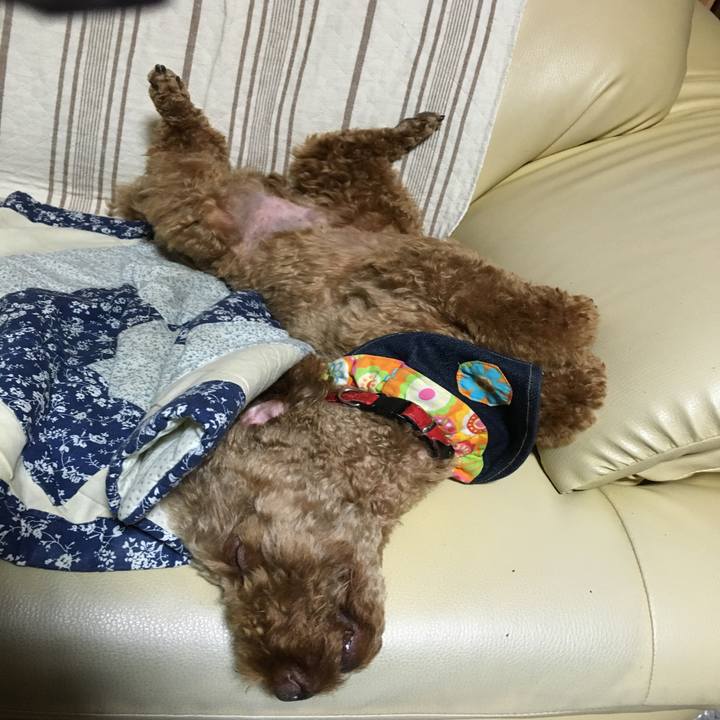 1714f644 0aad 42c2 81ea a815cce4b535