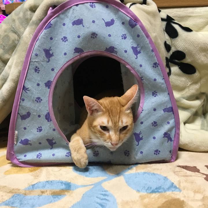 17151aaa 6519 4123 ba37 0b14ad4be1fe