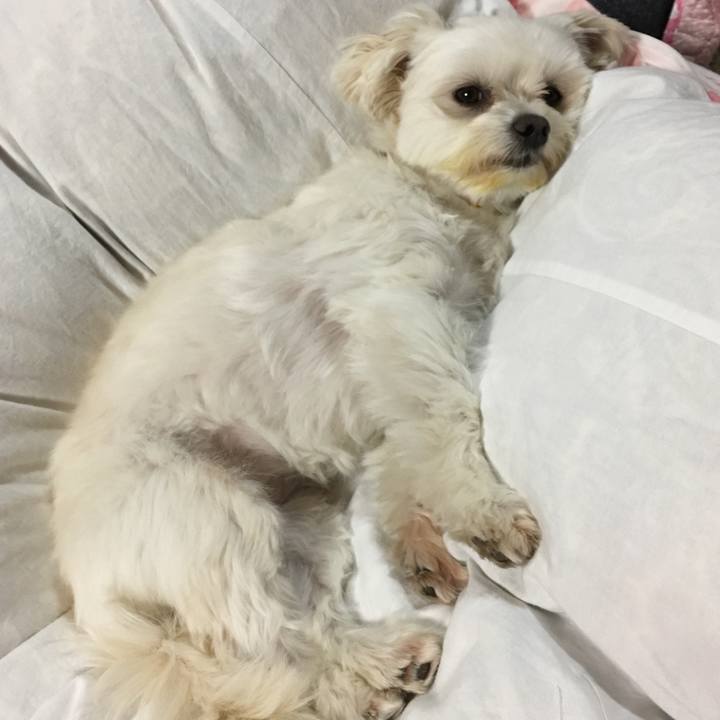 171521de 6d52 4cbf 82e6 16526e3d8db1