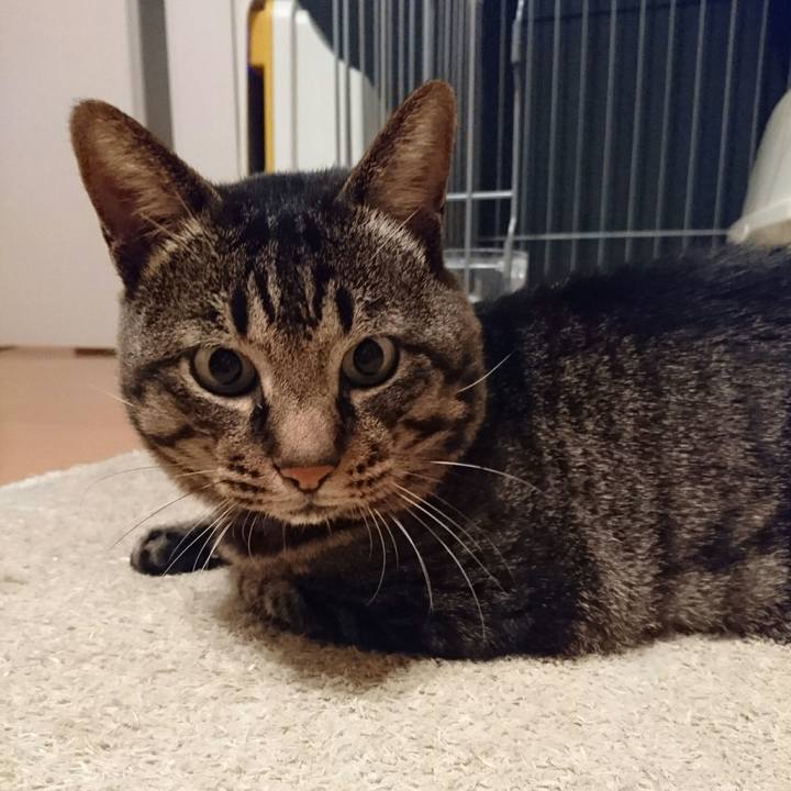 17152e9b 6ca3 4057 9e3c a95940d3ec04