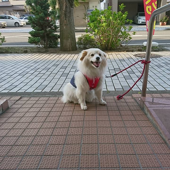 17153ecd b50f 4d48 946b 06630132f712