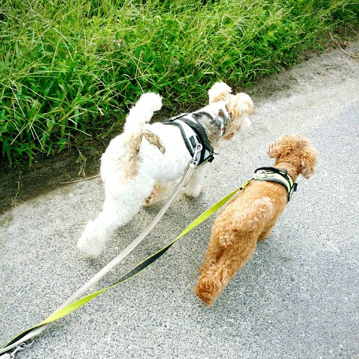 1715924c c3ee 4a38 a136 0f33a10f8c2a