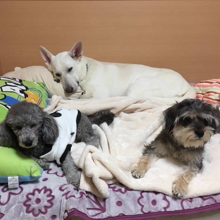 1715b5fe d606 494e 8556 9325388d8f64