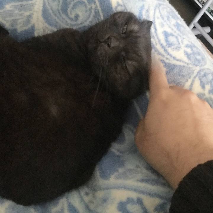 1715df67 4510 4b3a a5ac 6e6a2d37382b