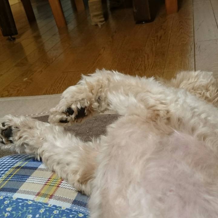 1715ea67 ad19 48be 9017 b7686e5b8bf8