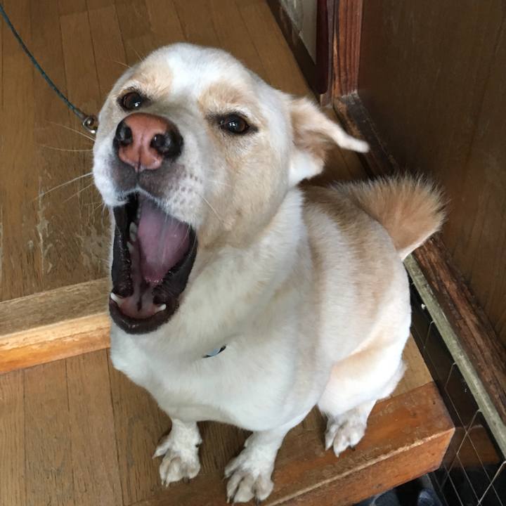 17161a67 add6 4ac9 9e8c 2126f2f9c503