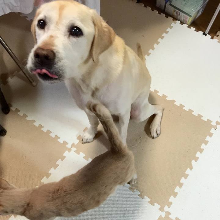 1716545b 9853 475e a60f ff0f288acac9