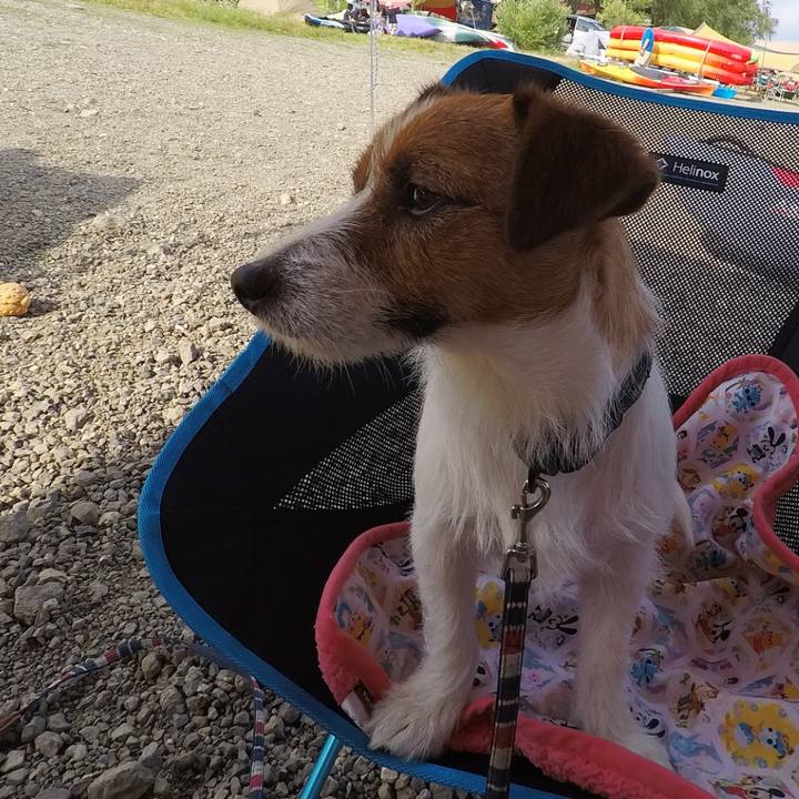 1717b345 88b8 4495 98d3 ee6b12e4d2f8